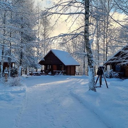 Camping Oskalns سيسيس المظهر الخارجي الصورة