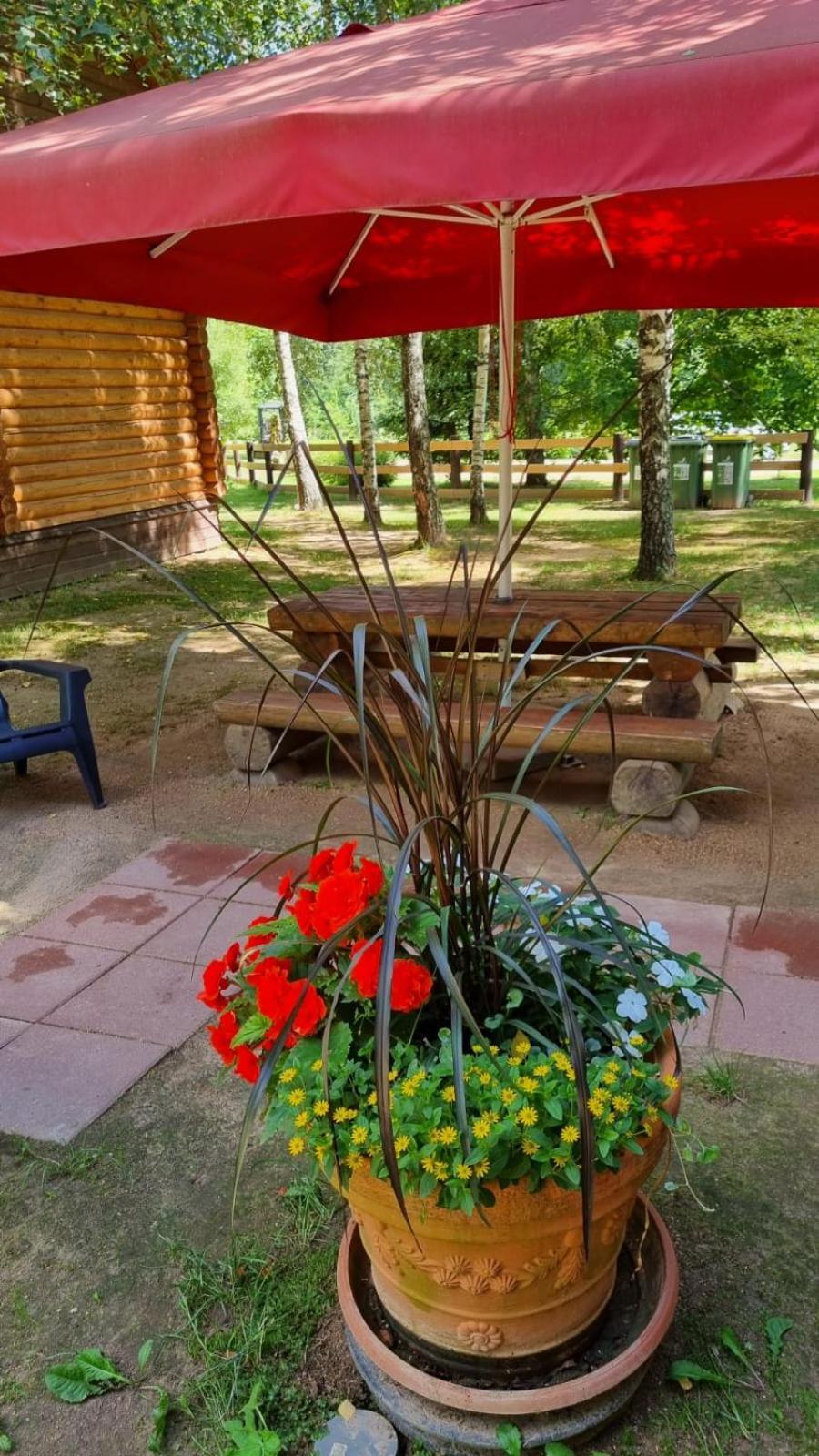Camping Oskalns سيسيس المظهر الخارجي الصورة